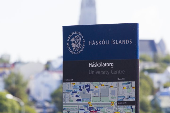 Háskóli Íslands