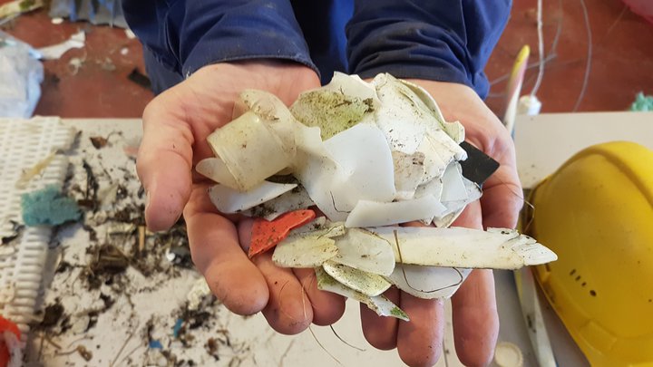 Plast brotnar í óteljandi búta í hafinu og skolar svo upp í fjörur. Þessir plastbútar tilheyra ógrynni af plastrusli sem tínt var í fjörum í Árneshreppi á Ströndum í sumar.