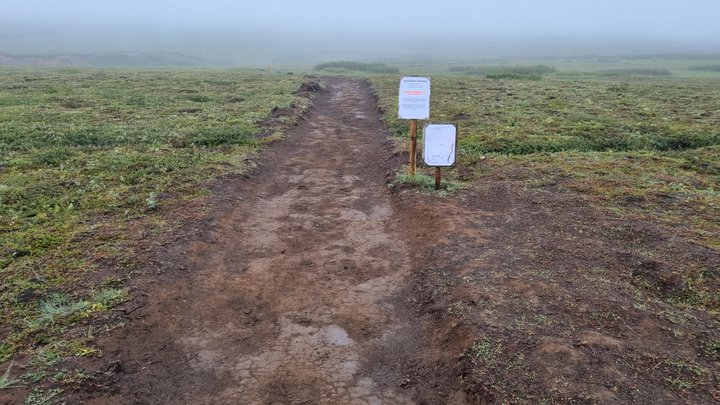 Ruddur slóði á Langavatnshöfða.