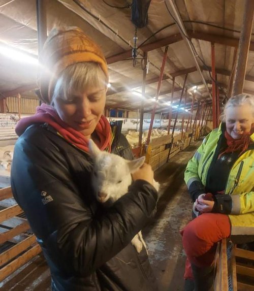 Heiða Guðný Ásgeirsdóttir er sauðfjárbóndi og fer svo um landið og telur fóstur í kindum annarra bænda. Mynd úr einkasafni