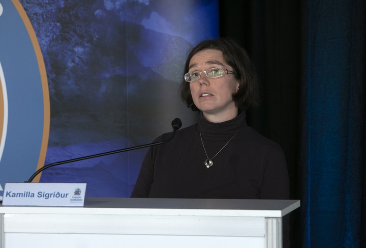 Kamilla Sigríður Jósefsdóttir sérfræðingur hjá sóttvarnalækni.