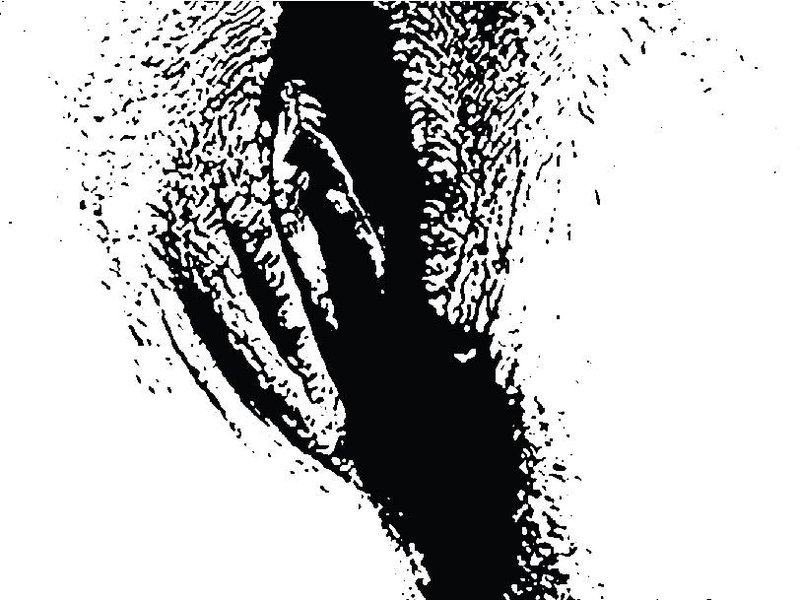 Íris Stefanía safnar fyrir verkefninu á Karolina fund.