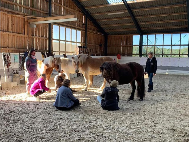 Vonarljós Mynd: Karolina Fund