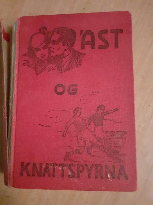 Bók sem Auður fann fyrir endur löngu í fornbókabúð.