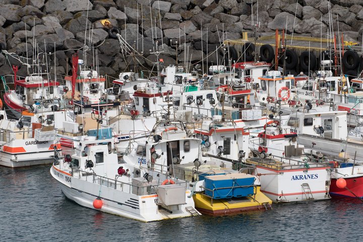 Arnarstapi, höfn, hafnir, sjór, sjávarútvegur, bátar, skip, fiskur, fiskar, útvegur,  7DM_3177_raw_170617.jpg