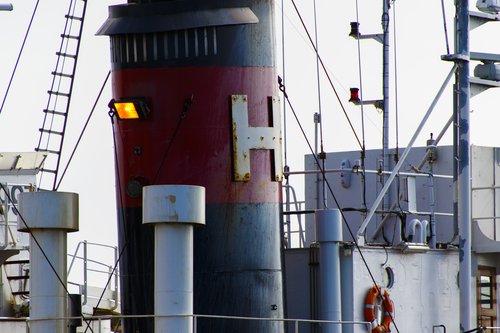 Fyrirtækið Hvalur hf. hefur stundað hvalveiðar við Ísland.