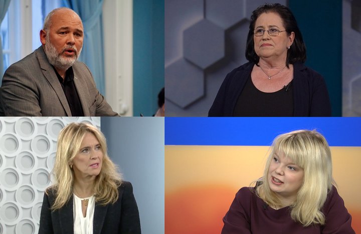 Stjórnarandstöðuflokkarnir