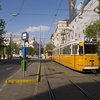 Sporvagnarnir í Búdapest falla vel inn í borgarskipulagið og eru löngu orðnir hluti af borgarmyndinni í Ungverjalandi.