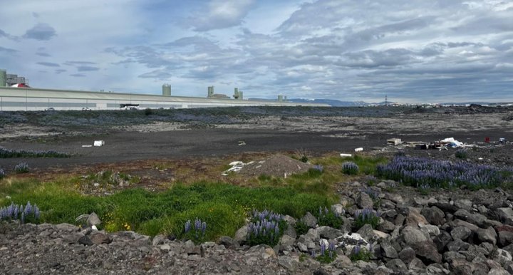 Fyrirhugað framkvæmdasvæði. Séð úr suðvestri. Við sjóndeildarhringinn má sjá álverið við Straumsvík.