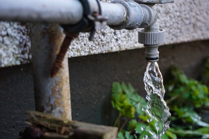 DSC01021.jpg Mynd: Bára Huld