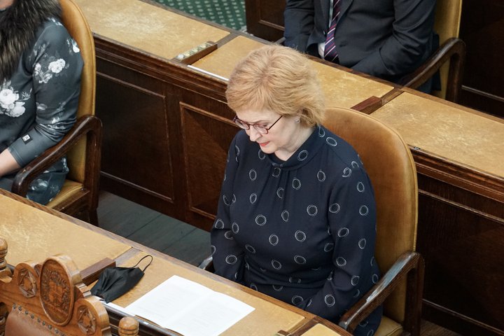 Þórunn Sveinbjarnardóttir þingmaður Samfylkingar verður formaður stjórnskipunar- og eftirlitsnefndar.