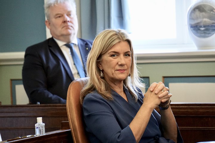 Hanna Katrín Friðriksson, þingflokksformaður Viðreisnar, er fyrsti flutningsmaður málsins.