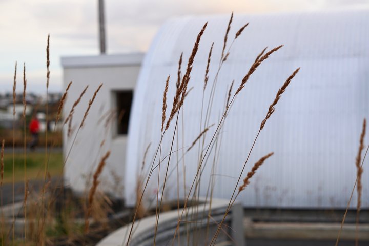 Bragginn við Nauthólsveg 100.