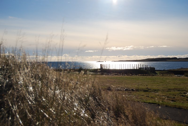 Verkefni úr „Mitt hverfi“ - Kjalarnesi Mynd: Sigurborg Ósk Haraldsdóttir