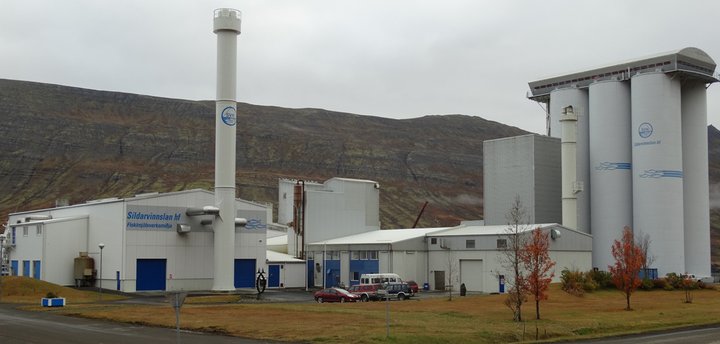 Fiskimjölsverksmiðja SVN í Neskaupstað, eins og flestar aðrar fiskimjölsverksmiðjur landsins, keyrðu á olíu í upphafi árs 2016, þar sem það var hagkvæmara. Forstjóri SVN segir að það yrði ekki gert aftur.
