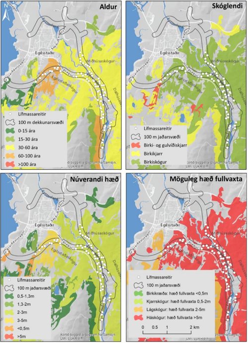Birkiskógar og -kjarr á valkostum veglína Héraðsmegin (Náttúrustofa Austurlands, 2021).