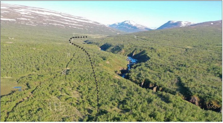 Allir valkostirnir frá Héraði að göngunum myndu fara um gamlan og þéttan birkiskóg. Hér er sýndur hluti norðurleiðar.