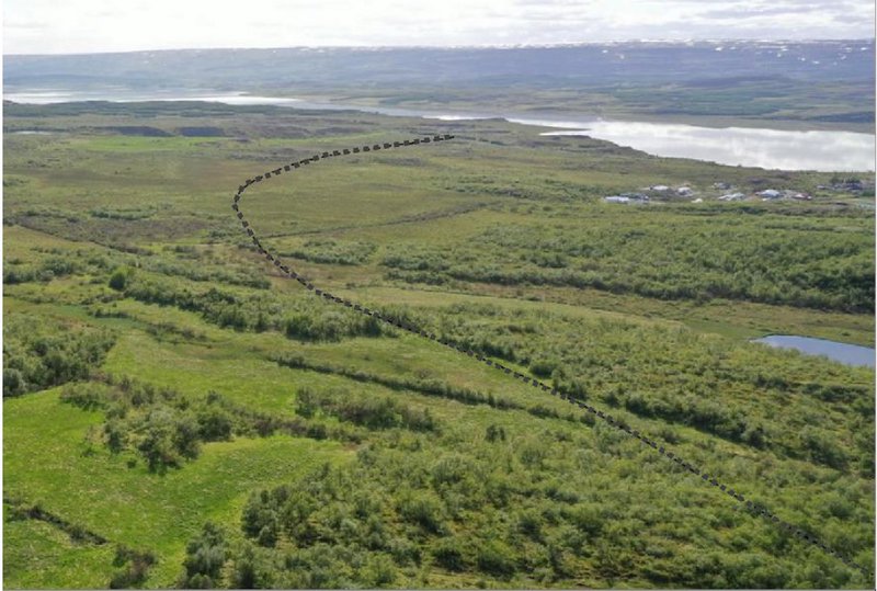 Suðurleið myndi raska fornum birkiskógi mest af þeim leiðum sem Vegagerðin tók til mats. Mynd: Úr umhverfismatsskýrslu