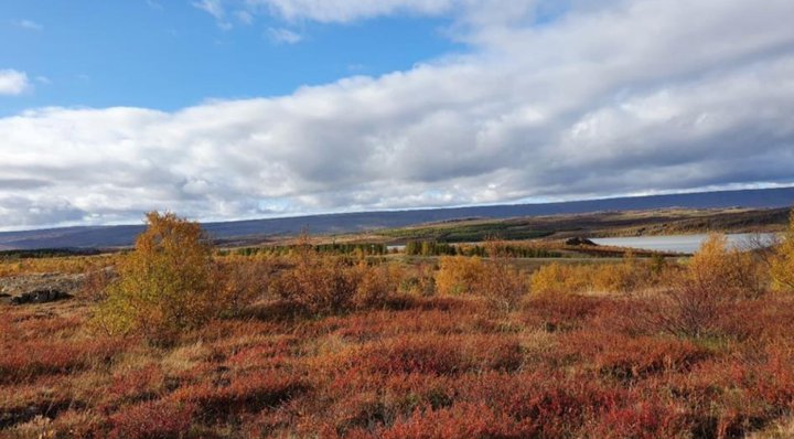 Suðurleið færi yfir skóglendi sem nýtur verndar samkvæmt náttúruverndarlögum.