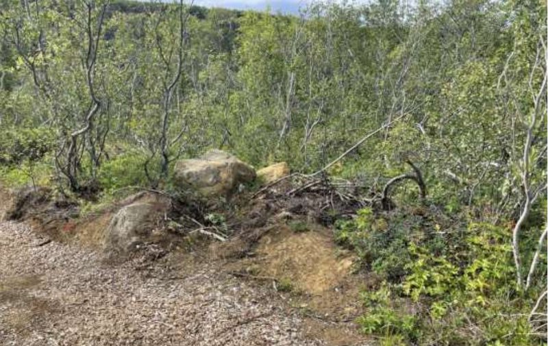 Gróðurskemmdir við stíg í Ásbyrgi. Mynd: SUNN