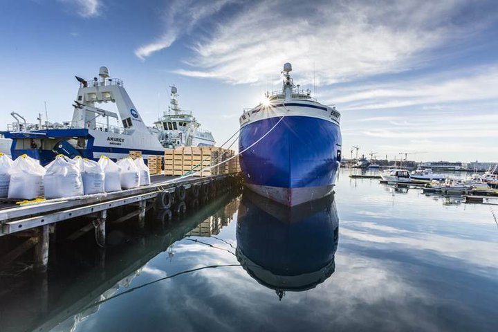 Brátt verður ódýrara fyrir sjávarútvegsfyrirtæki að selja og kaupa stór fiskiskip á Íslandi.