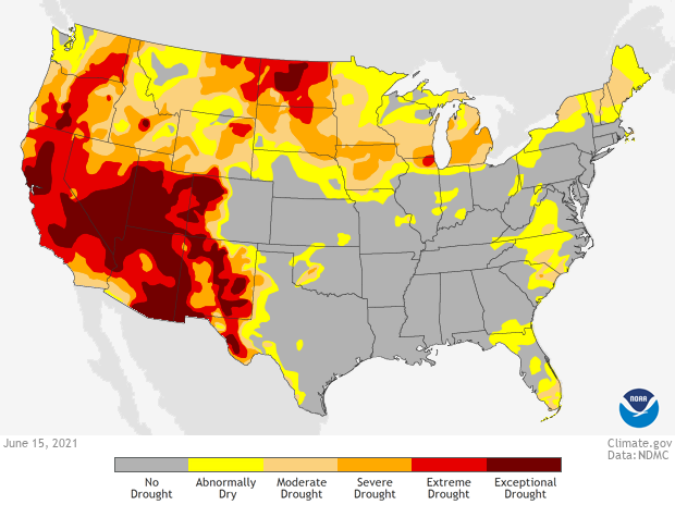 Hitabylgjan í norðvesturhluta Bandaríkjanna í júní var fordæmalaus. Mynd: NOAH