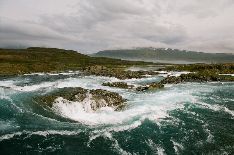 Hvaláþ Mynd: Rakel Valgeirsdóttir