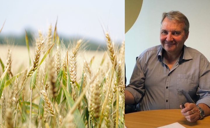 Þórir Haraldsson er forstjóri Líflands. Félagið flytur inn korn sem það malar í hveiti annars vegar og fóður hins vegar.