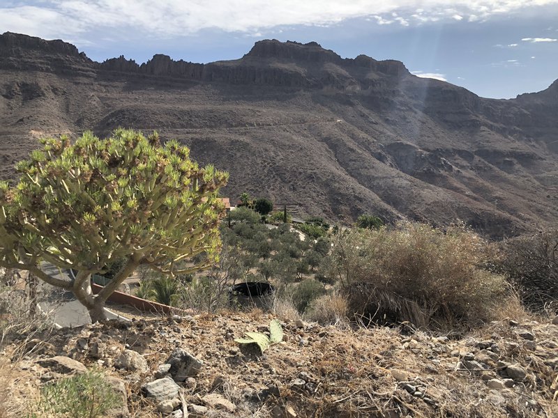 Landslagið á Kanaríeyjum er hrjóstrugt en heillandi.