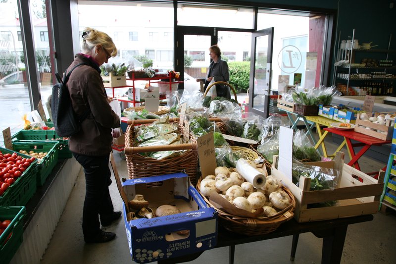 Frú Lauga. Mynd: Bændasamtök Íslands