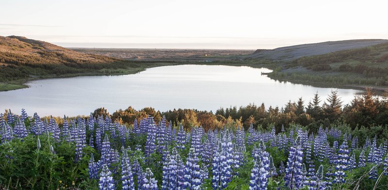 Hvaleyrarvatn á fallegum degi. Ljósmynd: Árni Stefán Árnason