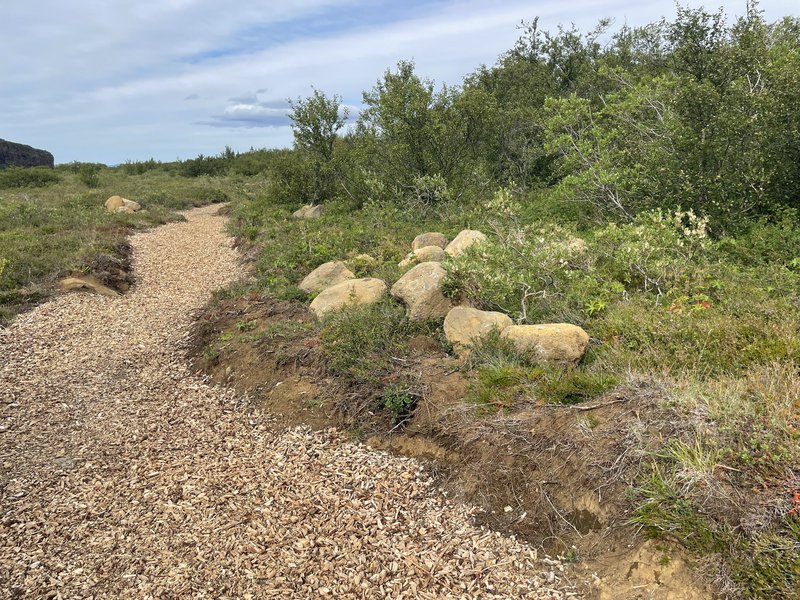 Efni utan stígs í Ásbyrgi.