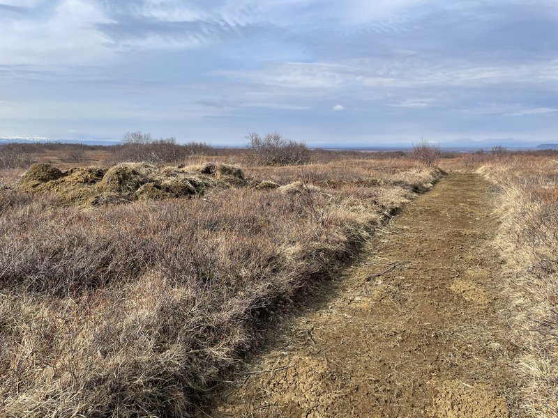 Stór efnishrúga utan stígs sunnan við Ás.