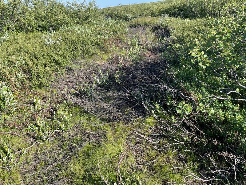 Utanvegaakstur eftir efnisflutninga úr stíg nálægt Rauðhólum.