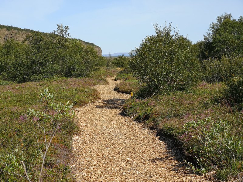 Göngustígar í vestanverðu Ásbyrgi eftir stækkun.