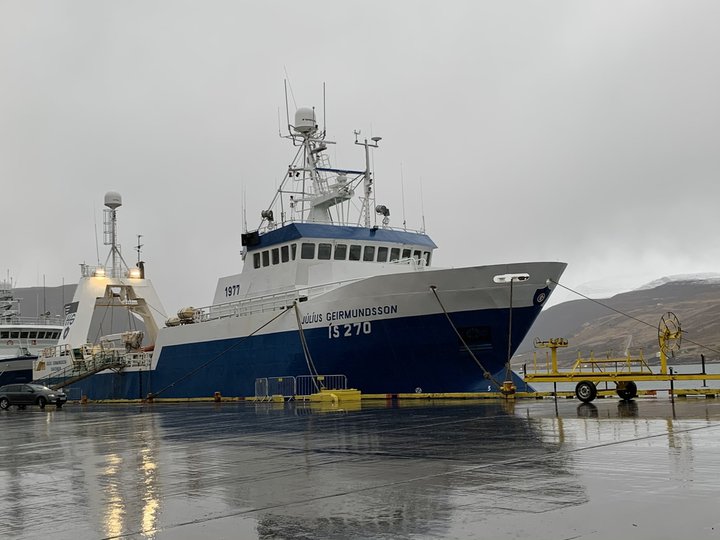 Júlíus Geirmundsson