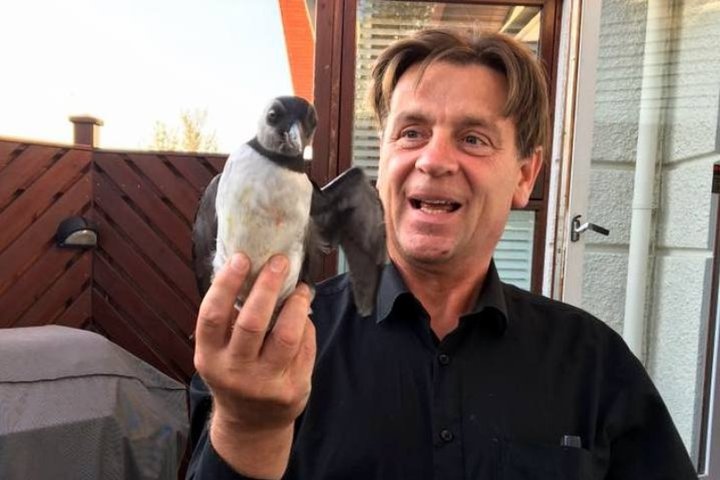 Karl Gauti Hjaltason