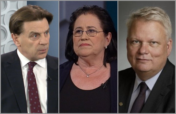 Karl Gauti Hjaltason, Inga Sæland og Ólafur Ísleifsson