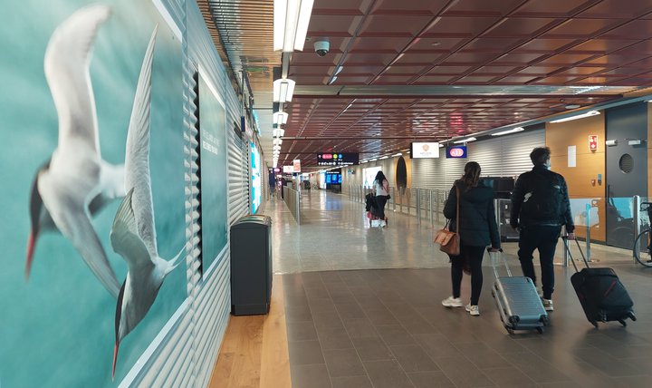 Flest þeirra starfa sem orðið hafa til síðustu mánuði eru í ferðaþjónustu.