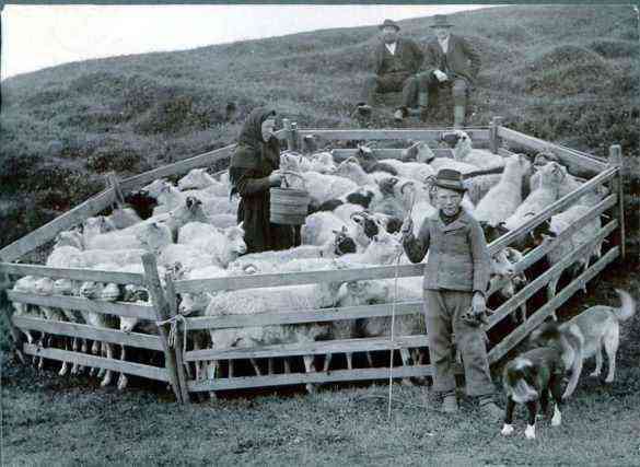 Áður fyrr var orðið kví algengt og þá sérstaklega notað um litlar réttir heima við bæi.