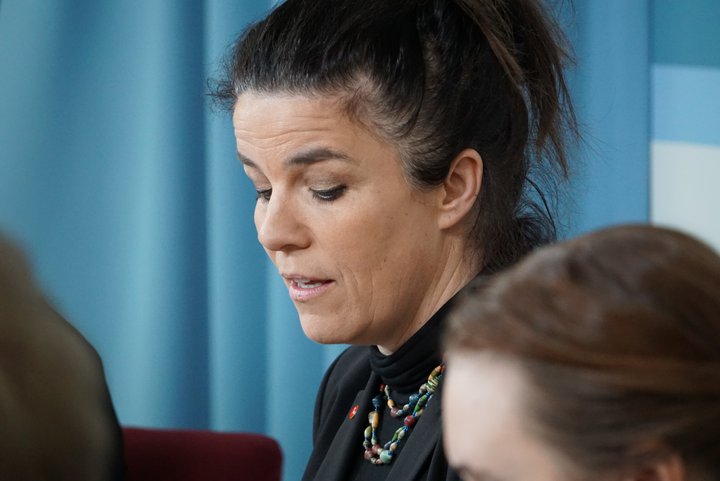 Helga Vala Helgadóttir er fyrsti flutningsmaður tillögunnar.