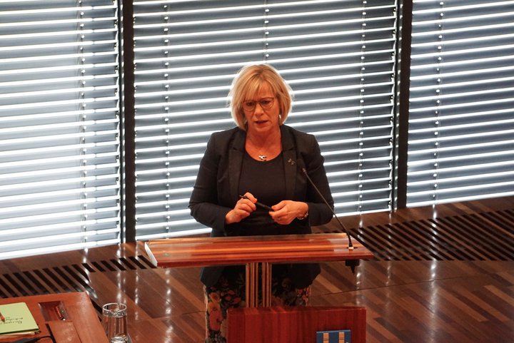 Vigdís var borgarfulltrúi Miðflokksins á síðasta kjörtímabili.