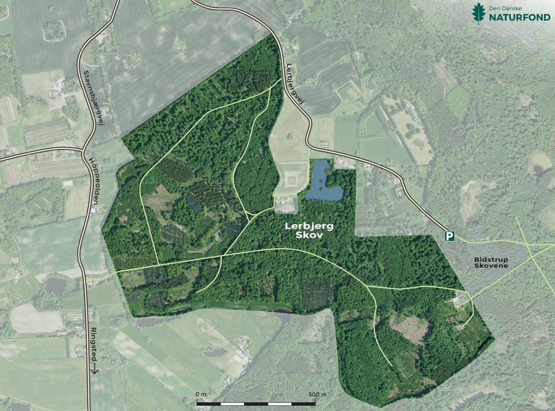 Lerbjergskógurinn er á Mið-Sjálandi.