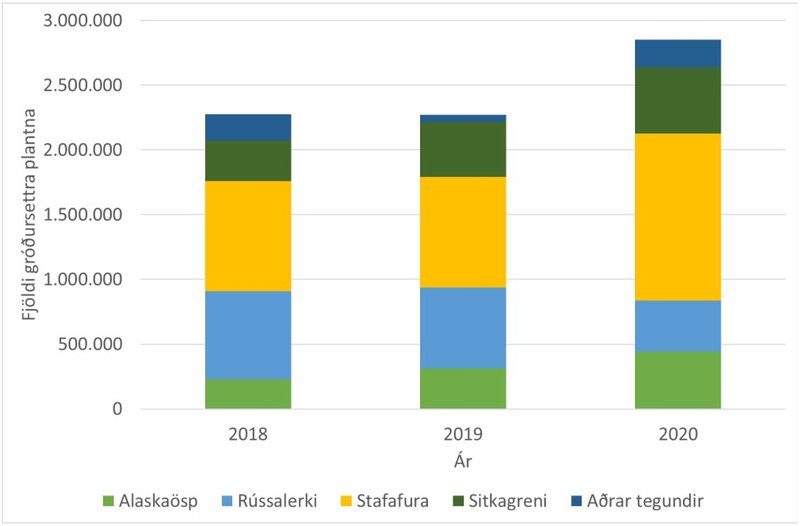 Fjöldi gróðursettra plantna af innfluttum trjátegundum á árabilinu 2018-2020. Mynd: Grænbók