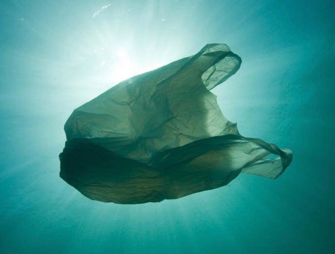 Plastpoki Mynd: www.wwf.org.uk