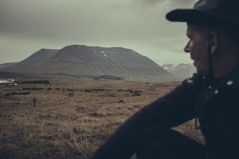 Mynd: Heiða Helgadóttir.