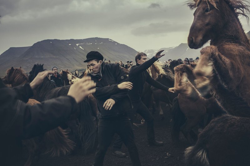 Mynd: Heiða Helgadóttir.