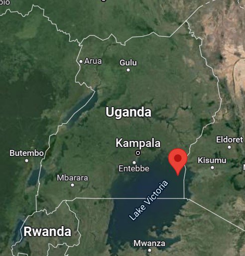 Namayingo-hérað er norðan Viktoríuvatns. Mynd: Google Maps