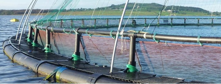 Nót húðuð með koparoxíði rétt eins og Arctic Sea Farm vill gera í Arnarfirði.