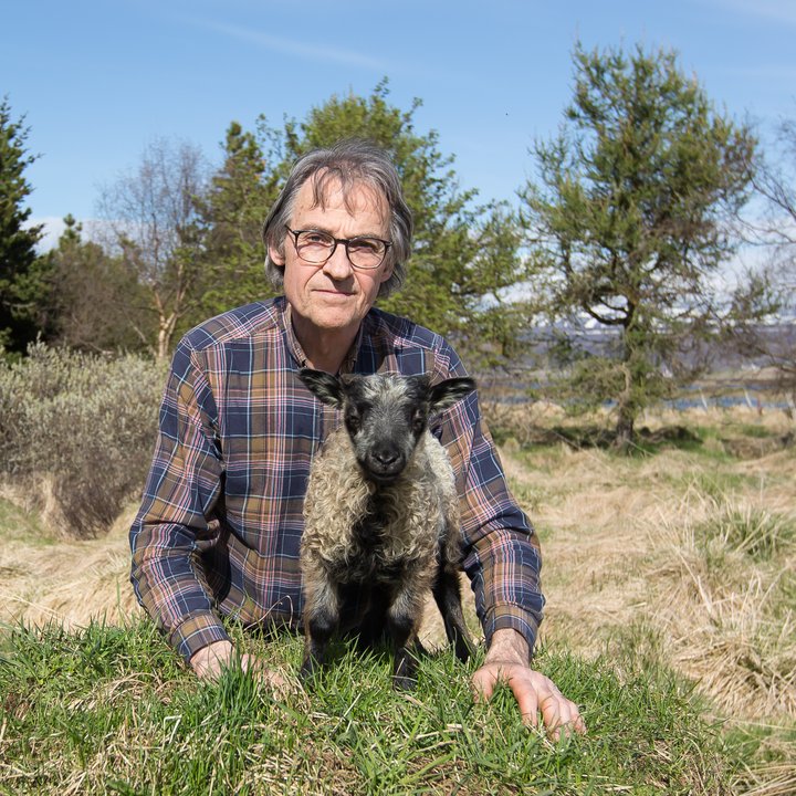 Ragnar Þorsteinsson sauðfjárbóndi gefur út Lambadagatal sitt í níunda sinn og fjármagnar útgáfuna á Karolina Fund.